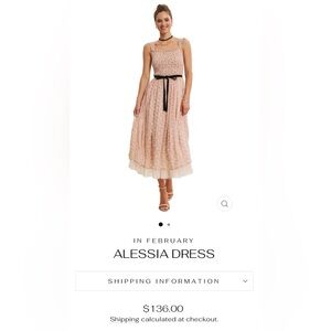 In February Alessia Dress Medium New